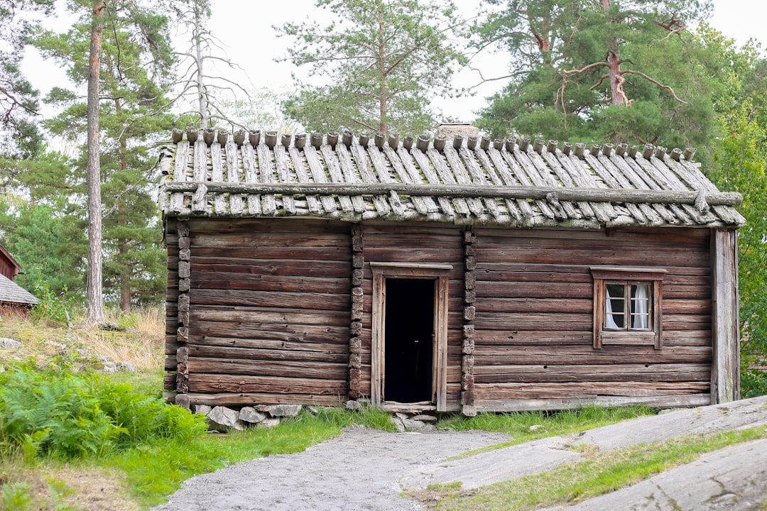Old wooden cabin with an open door in forest.